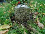 image of grave number 520468